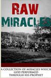 RAW MIRACLE